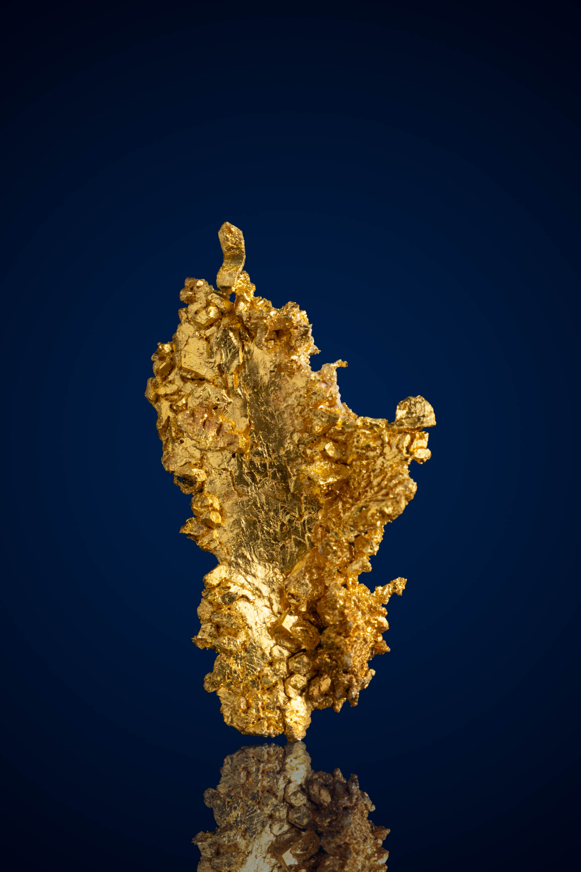 (image for) Exquisite, Crystallized Natural Gold Nugget - Round Mountain, NV - 2.45 grams